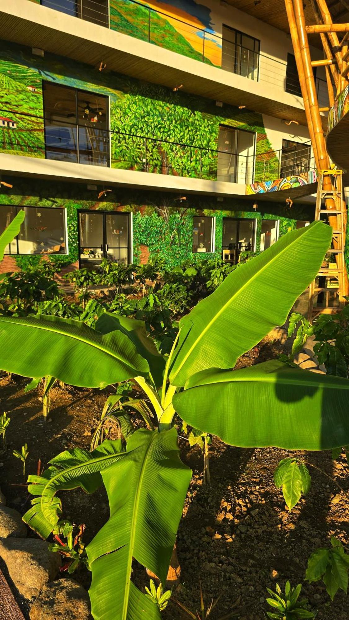 Bonding Coffee Roaster Cafe & Hotel Quepos Exteriér fotografie